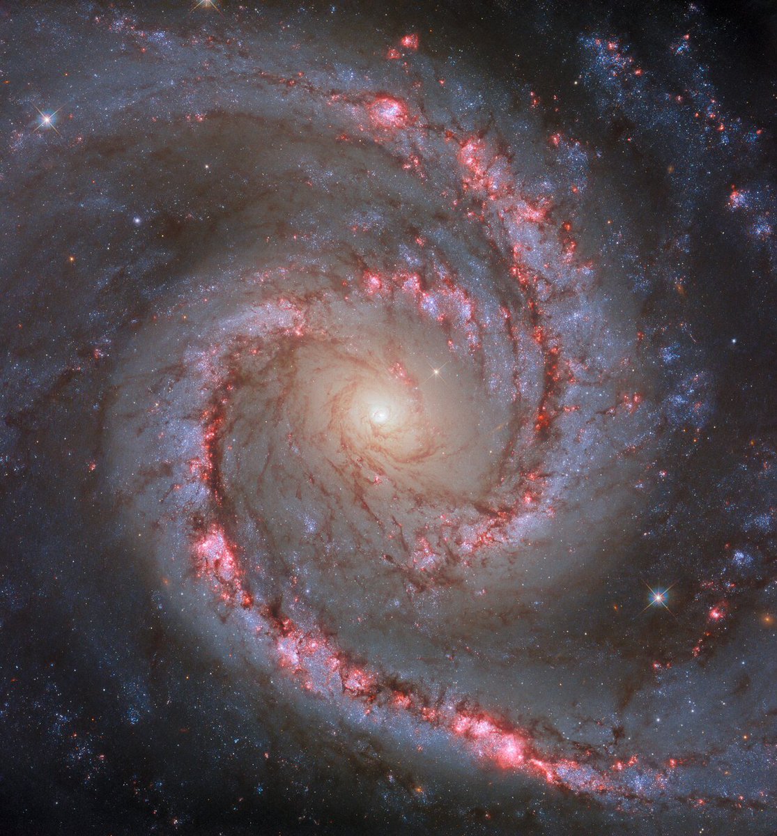 Gorgeous: The spiral galaxy NGC 1566, known as the ‘Spanish Dancer Galaxy' It is part of the Dorado galaxy group and is located about 60 million light-years away in the constellation Dorado. (Credit: ESA/Hubble & NASA, D. Calzetti and the LEGUS team, R. Chandar)