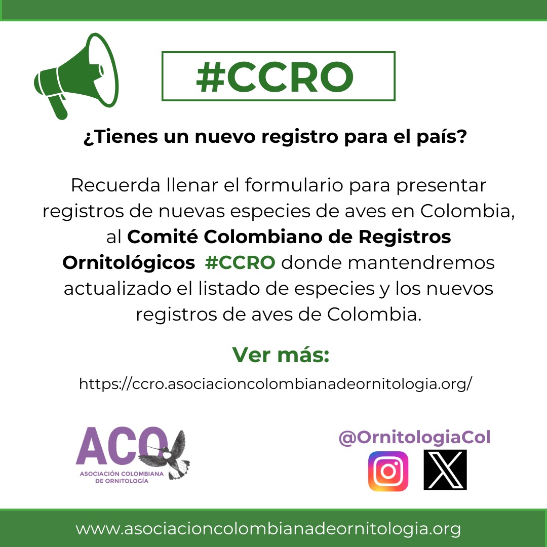 OrnitologiaCol's tweet photo. Tienes un nuevo registro para el país? Llena el formulario para presentar nuevos registros de aves en Colombia al Comité Colombiano de Registros Ornitológicos #CCRO, donde mantendremos actualizado el listado de especies y los nuevos registros del país. https://t.co/jNK1qCugQD https://t.co/oV48H3S70J