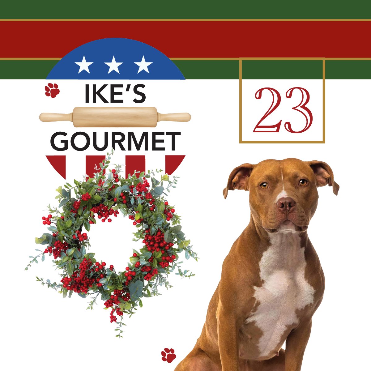 IkeGourmet's tweet photo. Ike's Gourmet Holiday Sale! Save 25% - FREE SHIPPING - FREE GIFT WRAP - FREE GIFT MESSAGE - Real Fruit Shortbread Cookies Vegan and All Natural Grain and Gluten Free Made in USA https://t.co/DSI6m11AmK #IKE #IkesGourmet #FreeShipping #FreeGiftWrap #FreeGiftMessage https://t.co/e53czi1WCH