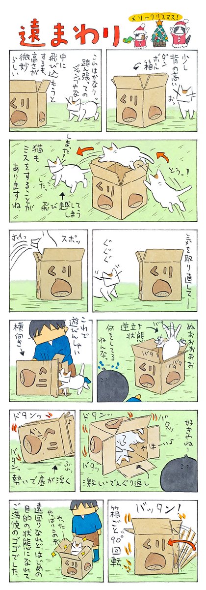 猫箱│フェリシモ猫部 