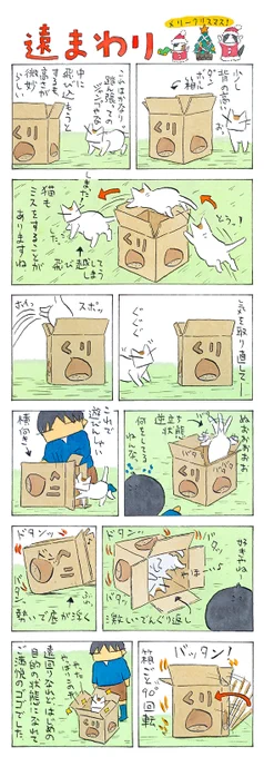 猫箱│フェリシモ猫部 