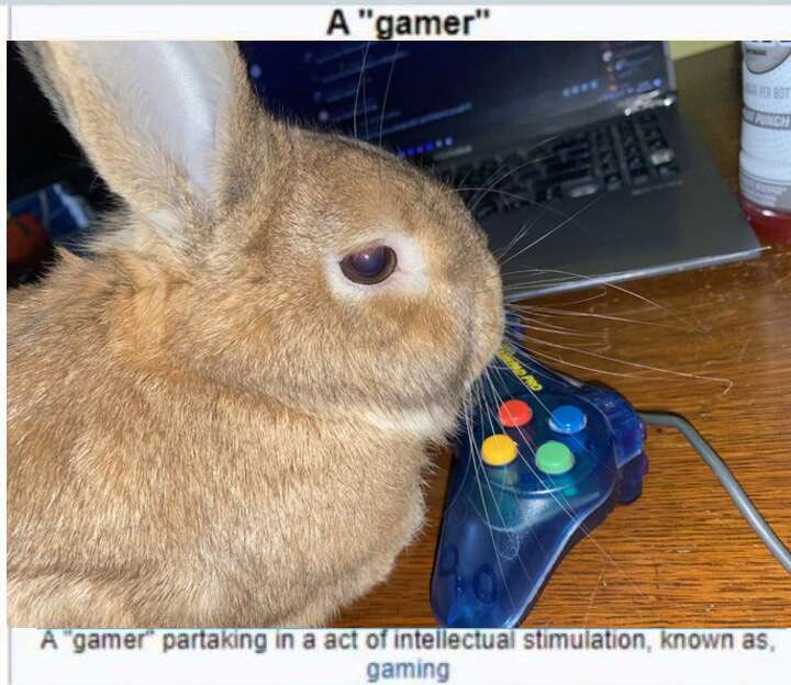 This is me, if you even care.