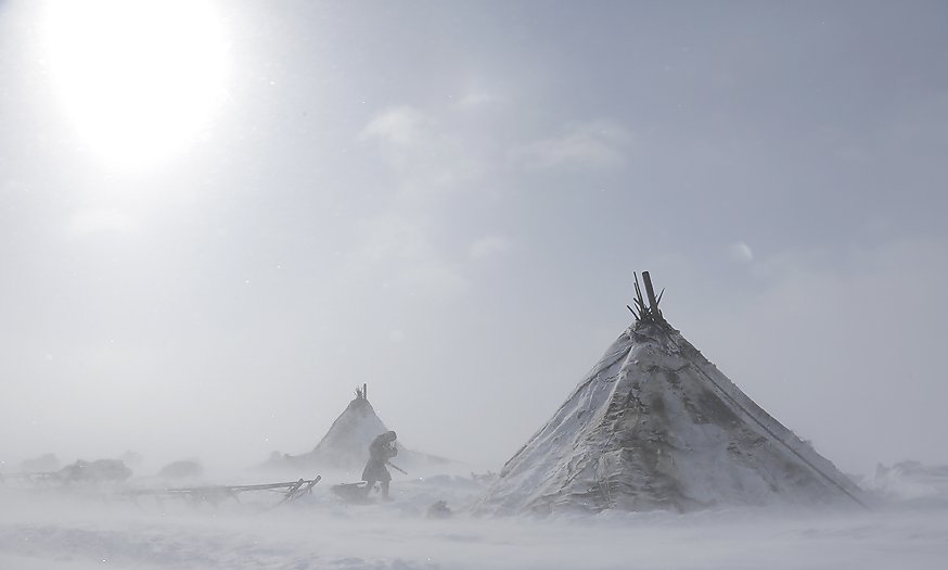 MythoSiberia's tweet photo. https://t.co/Grffe3imdZ
