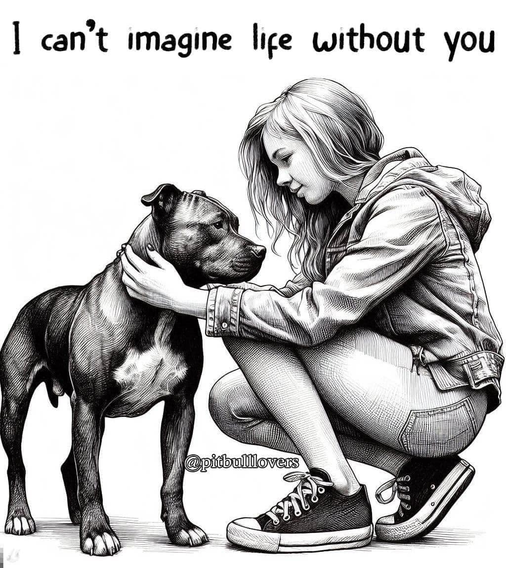 Good_vibes_up's tweet photo. On The FAILURE To Obtain An INJUNCTION on #XLBullyBan 😡

From an advocate I really respect Lesley Inglis:

"I'm turning commenting off on original post ... I replied to a comment with factual information  .. I started posting publicly to save rescue dogs and the everyday XL owner not ABKC.  After 31st December I will be deleting all posts as I honestly have thrown the towel in .... I can't support this any more ... thousand have, are, will be pts .... that to me is the final answer ... May they all rest in peace ... this cruel word isn't good enough for them ... I want everyone to know the facts to what their donating too ... a new lawyer is needed but it won't happen as this has never been about the average XL it's always been about ABKC.

This post saddens me but it is one I have to do. I know factual the verdict of injunction can be looked at again  ... the information submitted was from professionals within ABKC which isn't a recognized organization to the UK .... although many want to believe it is officially it isn't.

There was no reason for it not to be accepted,  here in #Scotland it was declined as there isn't enough evidence to support it, something the legal team should have been on top of ... this is hard evidence from within here in the #UK  .... we are not independent and still part of the nation.

As a nation we were wrongly and unprofessionally represented,  John Cooper should know evidence based on an officially unknown organization to the UK would not be accepted by the courts .... as mentioned it was declined here in Scotland so there is strong evidence to see and log. If it's proven John Cooper knowingly misrepresented this case ... which he clearly has .... a new lawyer can be appointed with an urgent block put on the stage 1 of the proposed dangerous dogs act starting on 31st and for the injunction to be looked at again with proper legal representation  ... this can be put through as an urgent ... it can be submitted as an urgent with a judge looking at it even when courts are closed.

I don't normally post publicly but added a temporary follow button as I was receiving a high volume of friend requests an I only have close friends and family on my private fb.

Due to myself losing faith ... thousands of dogs are scheduled to be pts ... appointing a new lawyer and proper legal representation would put a block on this ....but I can't continue doing what I'm doing. Its clear ABKC is the most important factor in all this ... the other XL type dogs don't matter. I know when to throw the towel in.

I will continue to support everyone as much as I can .... after Christmas I will email all landlords on my list so they will receive on opening after the year. I will also still fulfill my promise to log in at certain times over Christmas period from Christmas Eve through to boxing day for anyone urgently needing support. I will also fulfill my promise to XL owners,  support workers and professionals whom have messaged me for support emails ... I've got through a few of these and will have all those promised sent by 31st December ... it takes time to put these together.

After the year apart from continuing the support I've offered to individuals I will be taking a step back and I won't be posting any more. I'm busy catching up and getting my own house ready for Christmas so not as active at present.  I am still receiving countless messages, please only message me if an urgent.... for those intimidating messages I'm not easily intimidated so I only delete, there will be no response and your messages have had no bearing on my decision. My decision is purely based on the lack of legal support and ABKC being more important than the thousands of dogs in rescues.... something I can't and won't support.

From my family to yours wishing you all a very merry Christmas and the very best of wishes for 2024"

https://t.co/0ez9KteOw7

I completely agree with Lesley!! Change lawyers NOW! Too much is at stake! Save Our Seized Dogs & Four Legs Law would have done a much better job! They are experts at putting together and winning BSL cases!

 Twitter / X Rescue Network  ⬇️⬇️⬇️

@TaniaHop3 @WinglessBird_ @SandraK93322487 @NMBewitched @ckarr2 @venetianblonde @Dubs4Mutts @MyBoxerLuvMac1 @mapleveewesem @TAVNWNYCACC @Jacquel35589242 @ohrles @AngelaORegan7 @Janetlynne211 @rollca49 @MelissaRNMBA @DebraDragonhea2 @jijmpel @EMluvsPibbles @AnneBay4 @betsrosed @MaeDavi34581419 @beeleevitonly @DarleneSwan11 @BoomerBeatViews @SherMoss7 @sharon58642664 @PhaedraXTeddy @ColleenOwens4 @nasrene41 @PeterAskin1 @htfleming73 @GoldenBeverley @LisaBrabson @MelodyLenz6 @psychicwhisper3 @lmcplc20169 @Barbann56 @marilynwinders @Hbowman1H @Freedom4Enigma @BearyHappy04 @the_sigismund @SuzanneSugar @RoCoGB @dontbanlicence @AngRiley1 @bullywatchlies @Odie192697 @AdoptionsUk