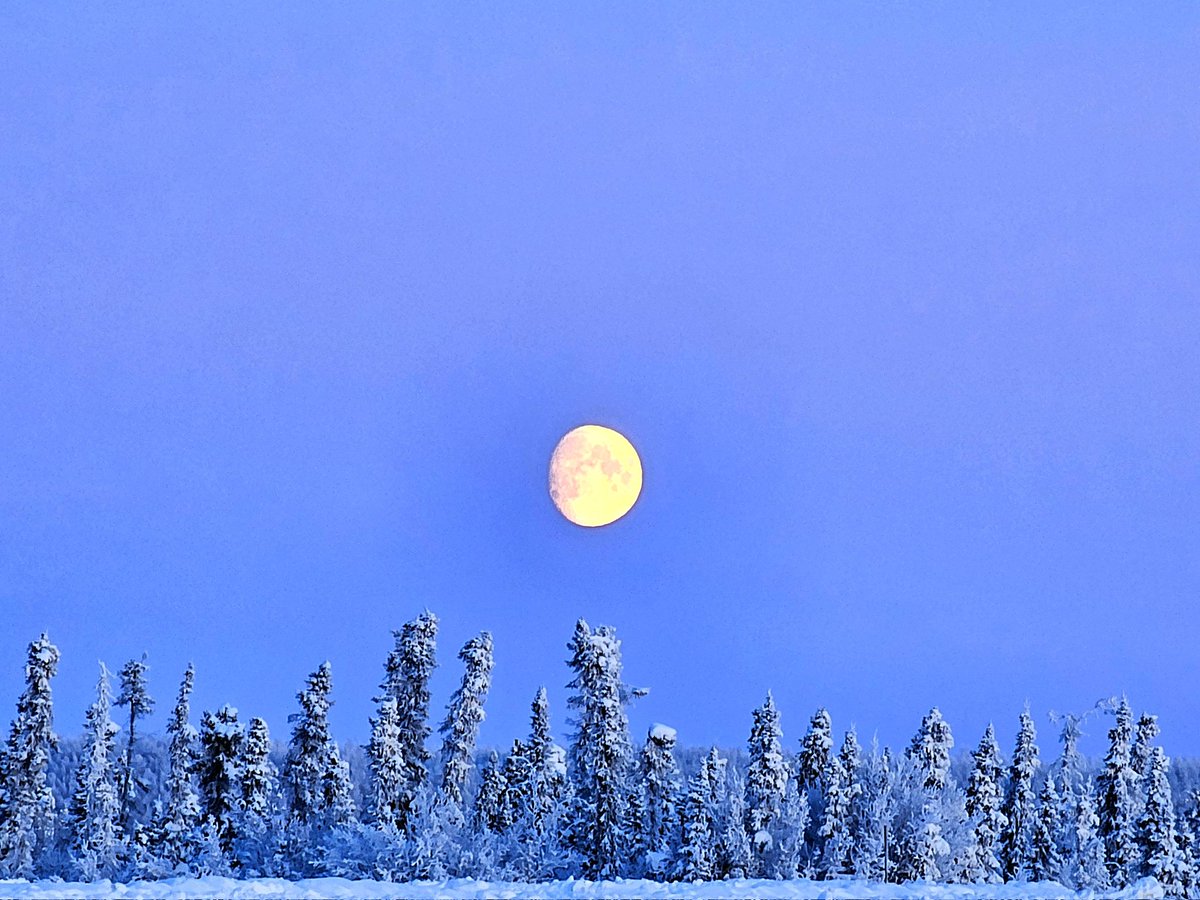 Hello Moon
#arcticskies #inuvik