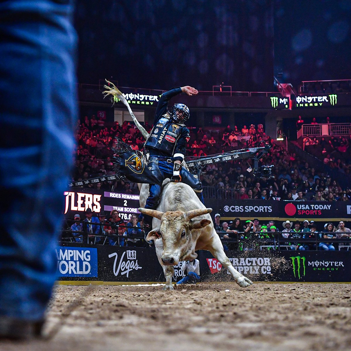 PBR (@pbr) on Twitter photo Two #PBRTeams seasons down. More to come!
Relive the crowning of the <a href="/Nash_Stampede/">Nashville Stampede</a> and <a href="/TexasRattlers_/">Texas Rattlers</a> all day on PBR RidePass on <a href="/PlutoTV/">Pluto TV</a>. Two #PBRTeams seasons down. More to come!
Relive the crowning of the <a href="/Nash_Stampede/">Nashville Stampede</a> and <a href="/TexasRattlers_/">Texas Rattlers</a> all day on PBR RidePass on <a href="/PlutoTV/">Pluto TV</a>.