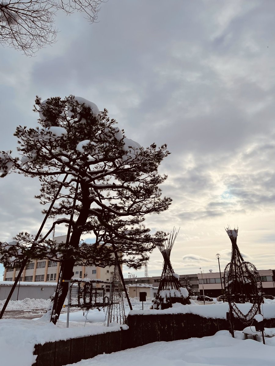 MitoMasaChan's tweet photo. おはようございます☀
メリークリスマス🎄🎄🎄

朝は太陽も見えてお天気は良さそうです！！
まだまだ雪はバリバリ積もってて足元は悪いです！
 #アツタ外伝 千秋楽にご来場の際はどうぞお気をつけて！！

当日券もございます！！ https://t.co/BN4AHvK4nE