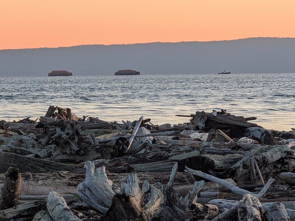 MuketyMuk's tweet image. December #Sunset #PtRoberts #LighthousePark light breeze. Chilly clear. #WXWA #BCStorm