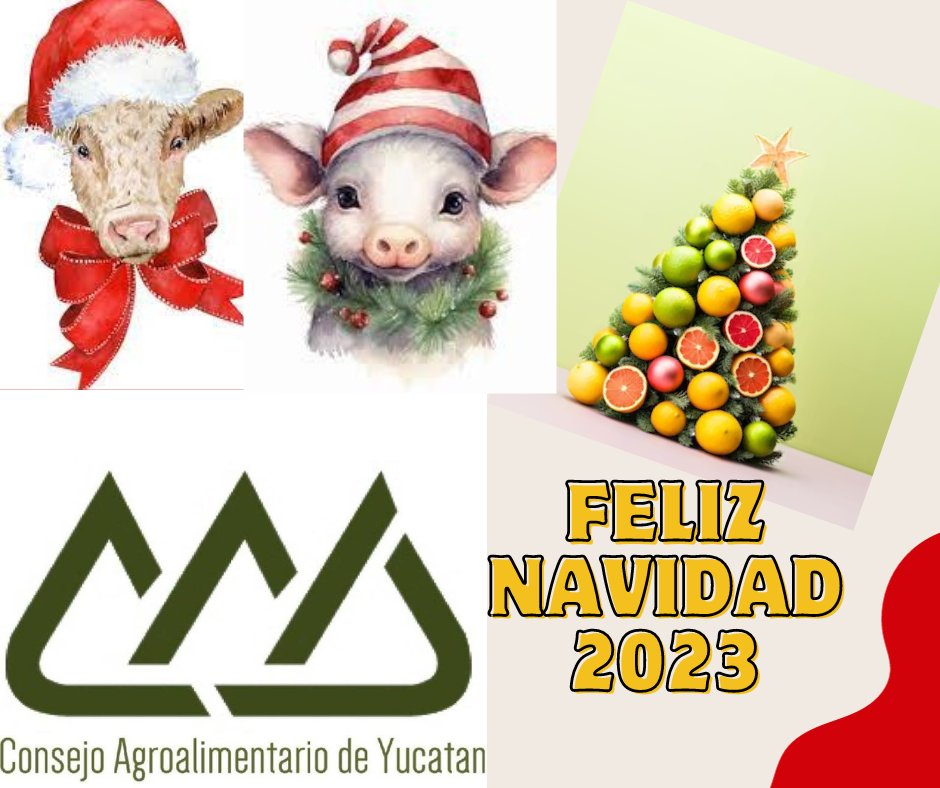 CNA Yucatan tweet media