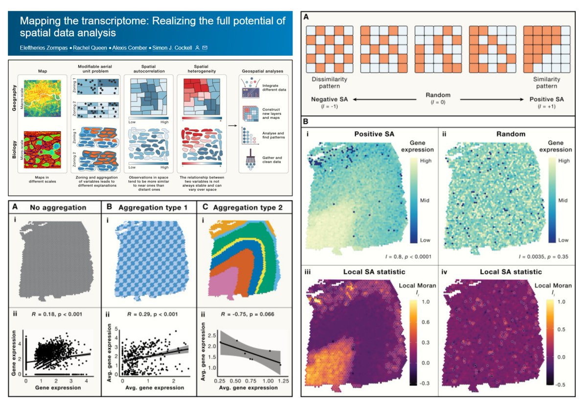 HaoYin20's tweet image. Mapping the transcriptome: Realizing the full potential of spatial data analysis
A must-read for #SpatialTranscriptomics beginners
Learn from Geographical science
#SpatialAutocorrelation
#GeographicallyWeightedRegression
@LZormpas @sjcockell Cell 2023
cell.com/cell/fulltext/…