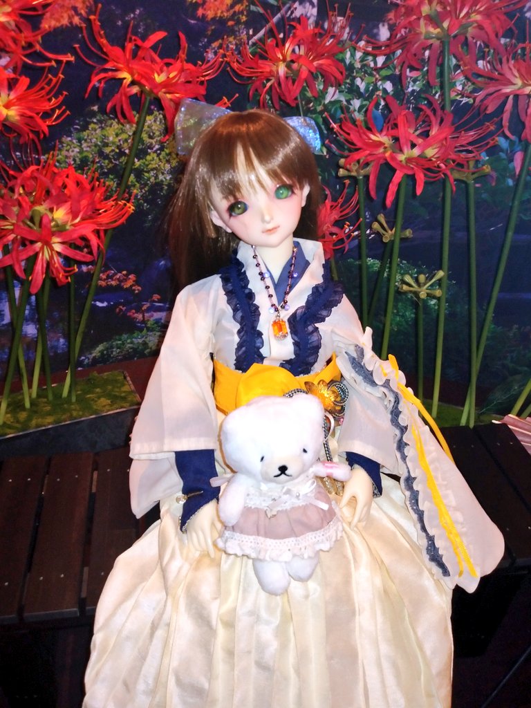 Biwakodoll's tweet photo. おはようございます。今日はお里（京都）と大阪へ遊びに行きます。ひよりちゃん、凛里香ちゃんも一緒です。昨日は病院で行けんかったので…。今日も１日楽しく過ごせますように。
#びわこ家のドール達　#sd76　#sdm48　#幼天使美加 https://t.co/YFl8K3kasj