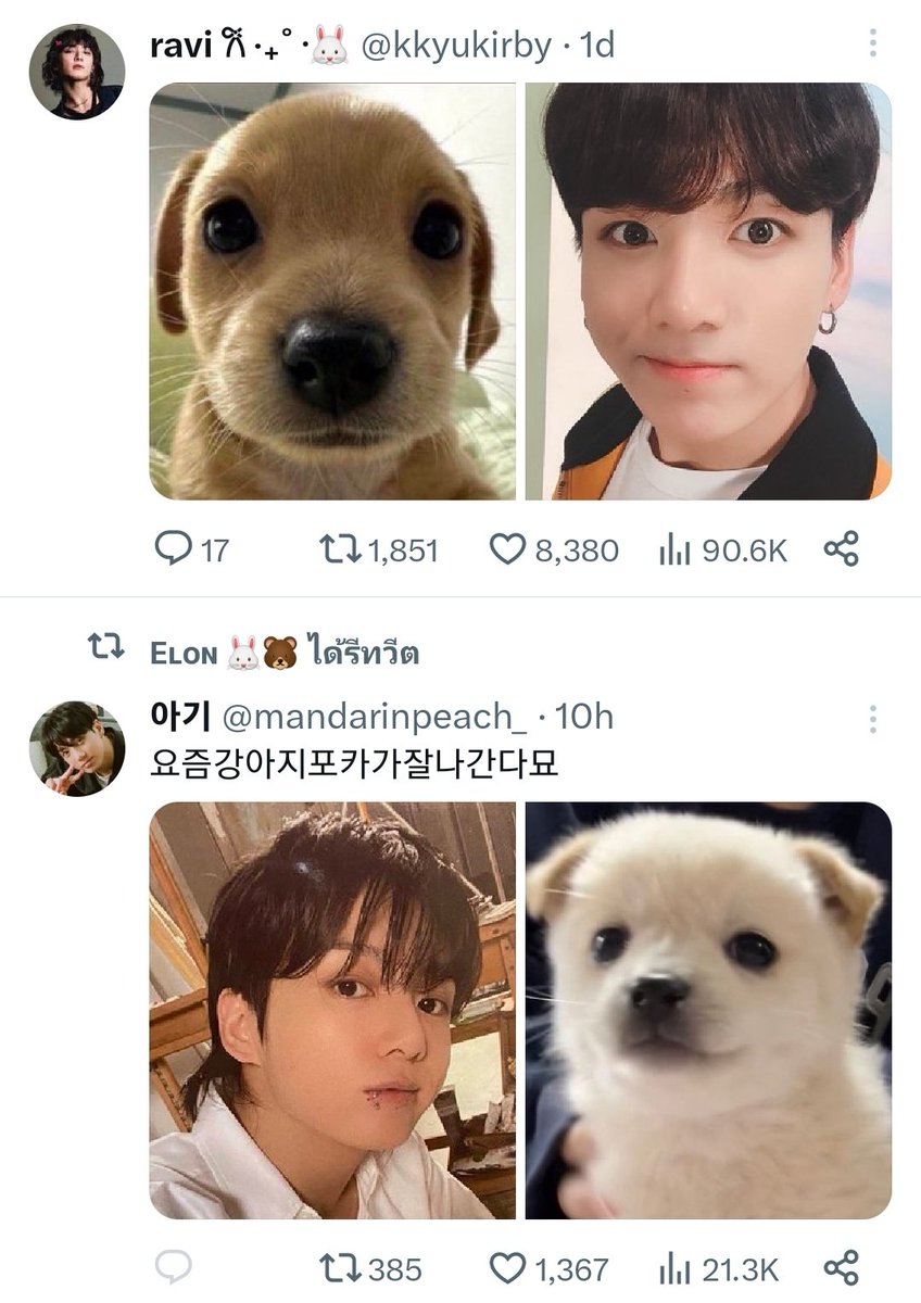 𝔹𝕦𝕟𝕟𝕪𝔹𝕖𝕒𝕣⁷ ꪜᙏ̤̫ ʕ•ᴥ•ʔ ♡ ˊˎ- tweet media