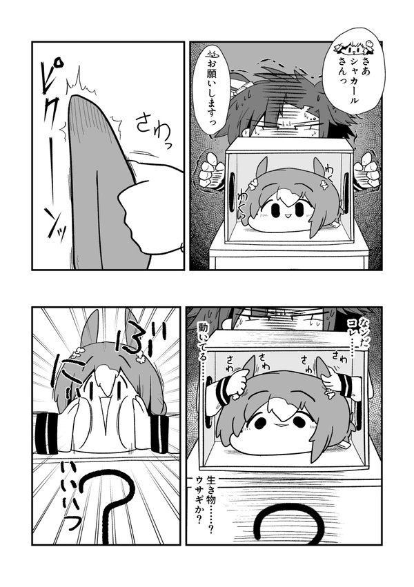 シャカールとクリスマス