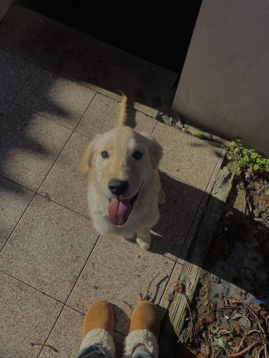 🐾💘