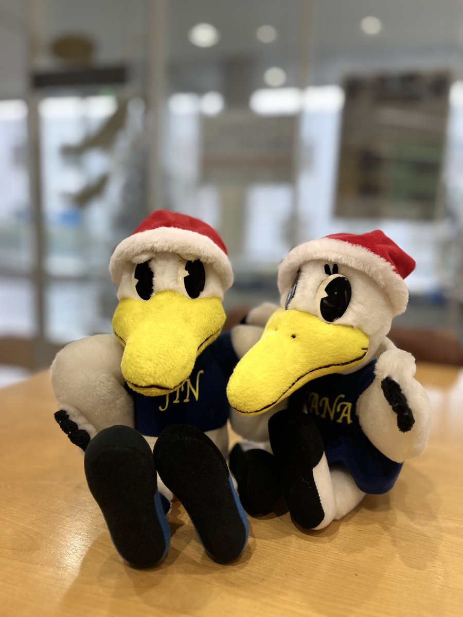 ku_official's tweet photo. 素敵な一日をお過ごしください🎄 https://t.co/3NAmjZEwqd