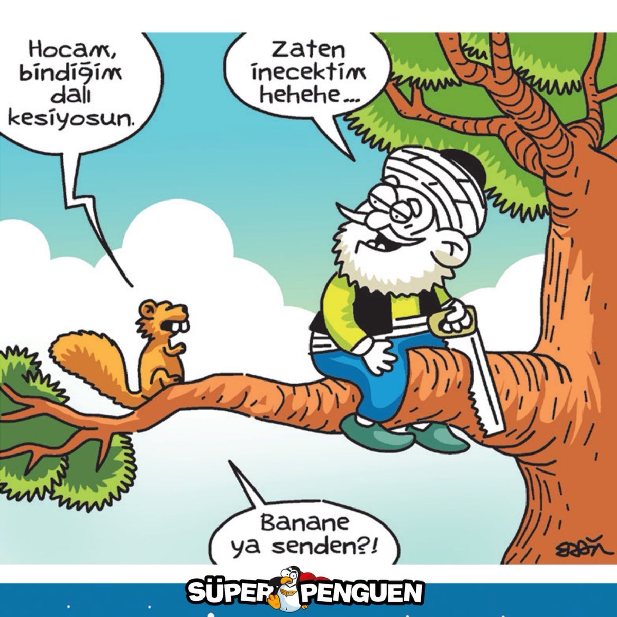 Süper Penguen tweet media