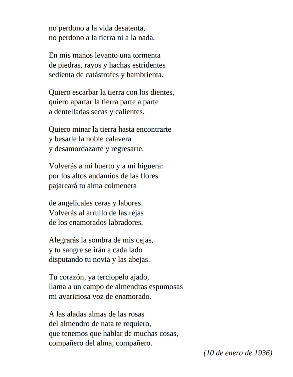 Tal día como hoy en 1935, falleció de forma repentina mi  amigo del alma: Pepe Marín.
Todos sabréis que hablo de Ramón Sijé. 

Su ELEGÍA, incluida en 'El Rayo que no cesa' simboliza el dolor terrible de la muerte sobrevenida, en medio de la amistad.

#MiguelHernández