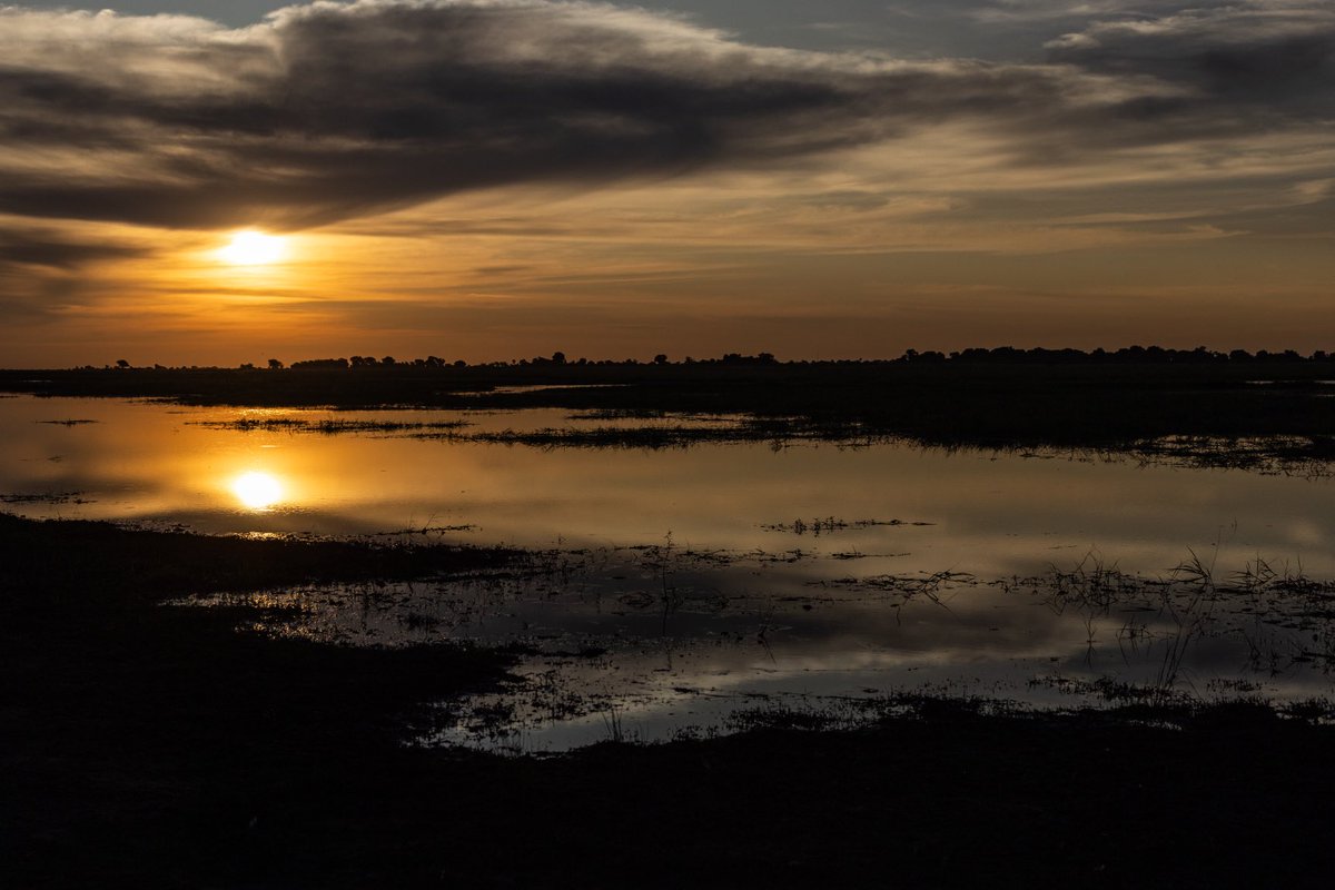 francois_kotze's tweet photo. There is something majestic about a #sunset on a boat in the #Caprivi region. #Landscape #Sunset, #Wildlife, #BalancedLife, #Photography,#Flexyware https://t.co/gAtEjkezIG