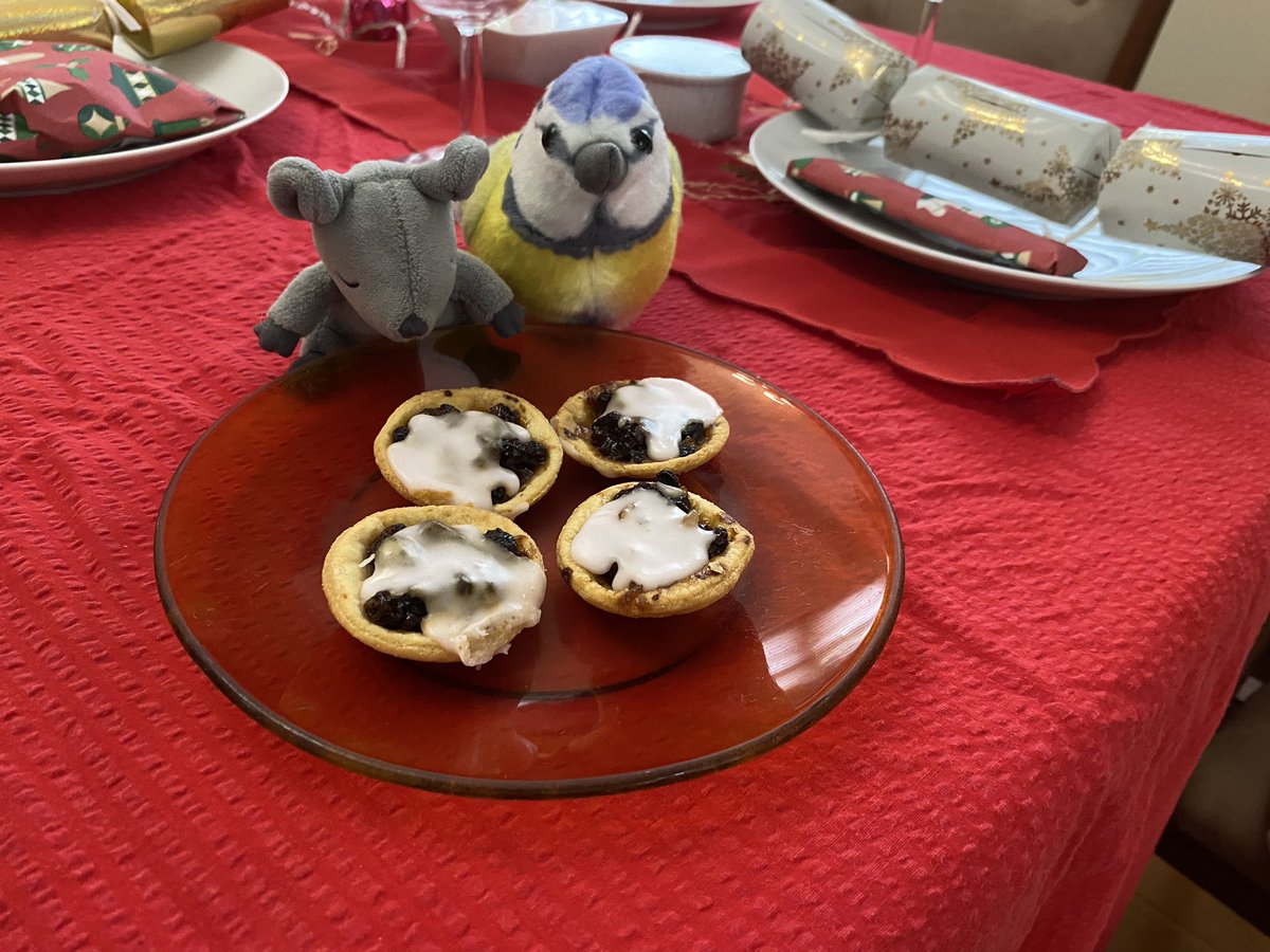 Wir haben den ganzen Fahrt im Autositz gekuschelt und sind jetzt in Sydney!! 
Die Mama von Tante Ejay mag unsere ‘Mince Pies’ sehr 😋