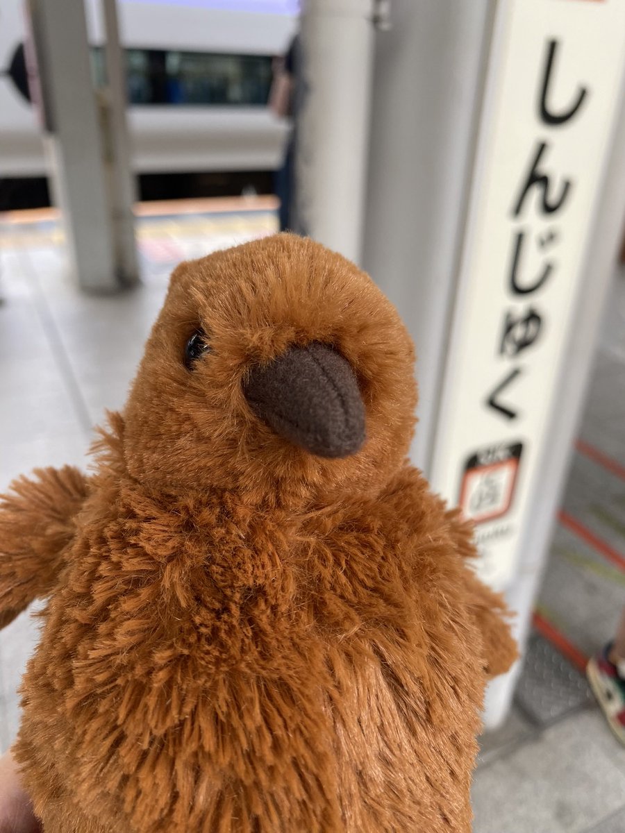 kan___U's tweet photo. 【探してます】#拡散希望 #落し物 

昨日(12/23)、梅田～京都河原町の阪急電車でペンギンのぬいぐるみ「ペン太」を落としてしまいました。

7時40分梅田発で、先頭か最後部車両に乗っていました。とても大切にしていたぬいぐるみなので、何か情報お持ちの方がいたら私宛にリプライかDMお願いします…！ https://t.co/qMQ4jKXxQL