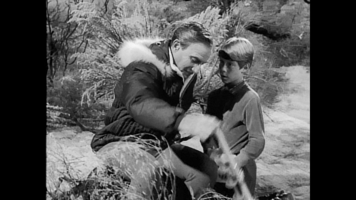 Hookalakah Meshobbab tweet media