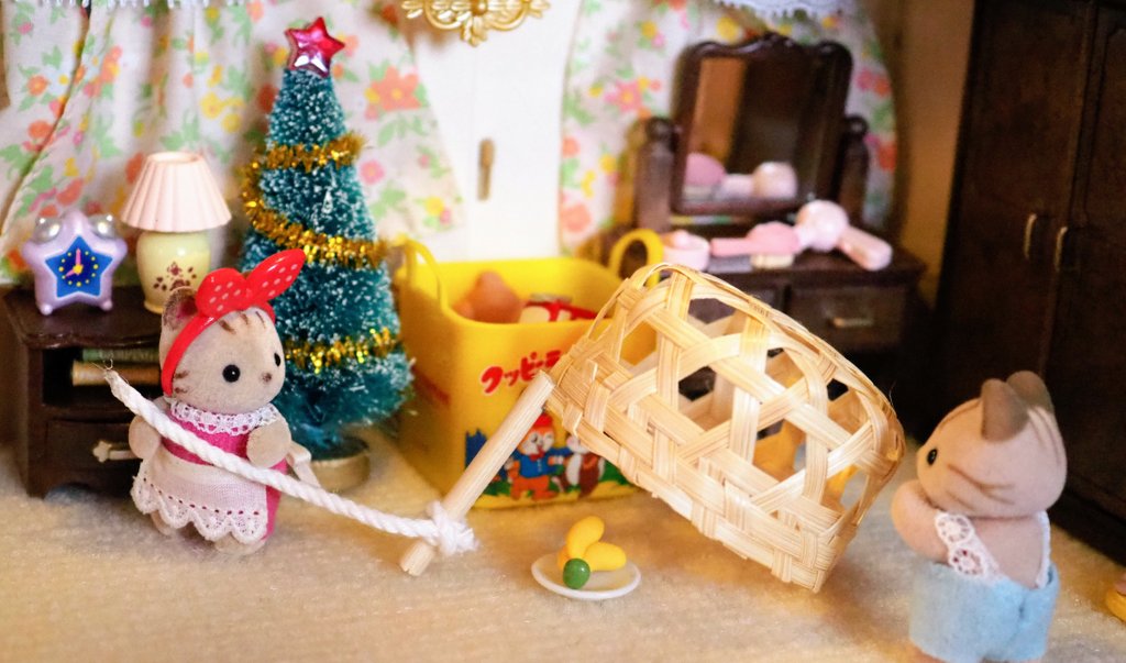 シマネコ tweet media