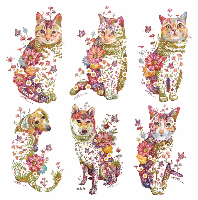 2021透明水彩#水彩 #猫 #犬 #花 