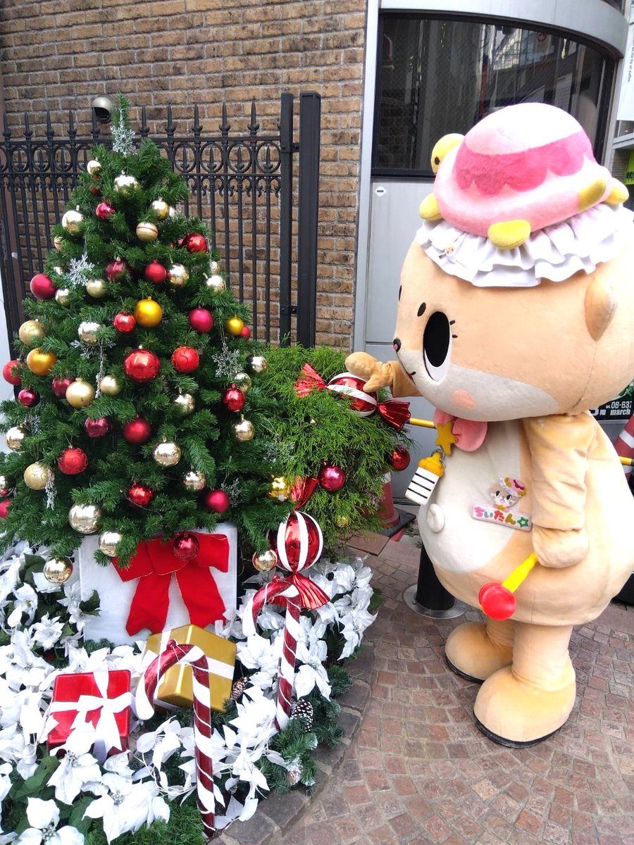 Chiitan_Osaka tweet picture