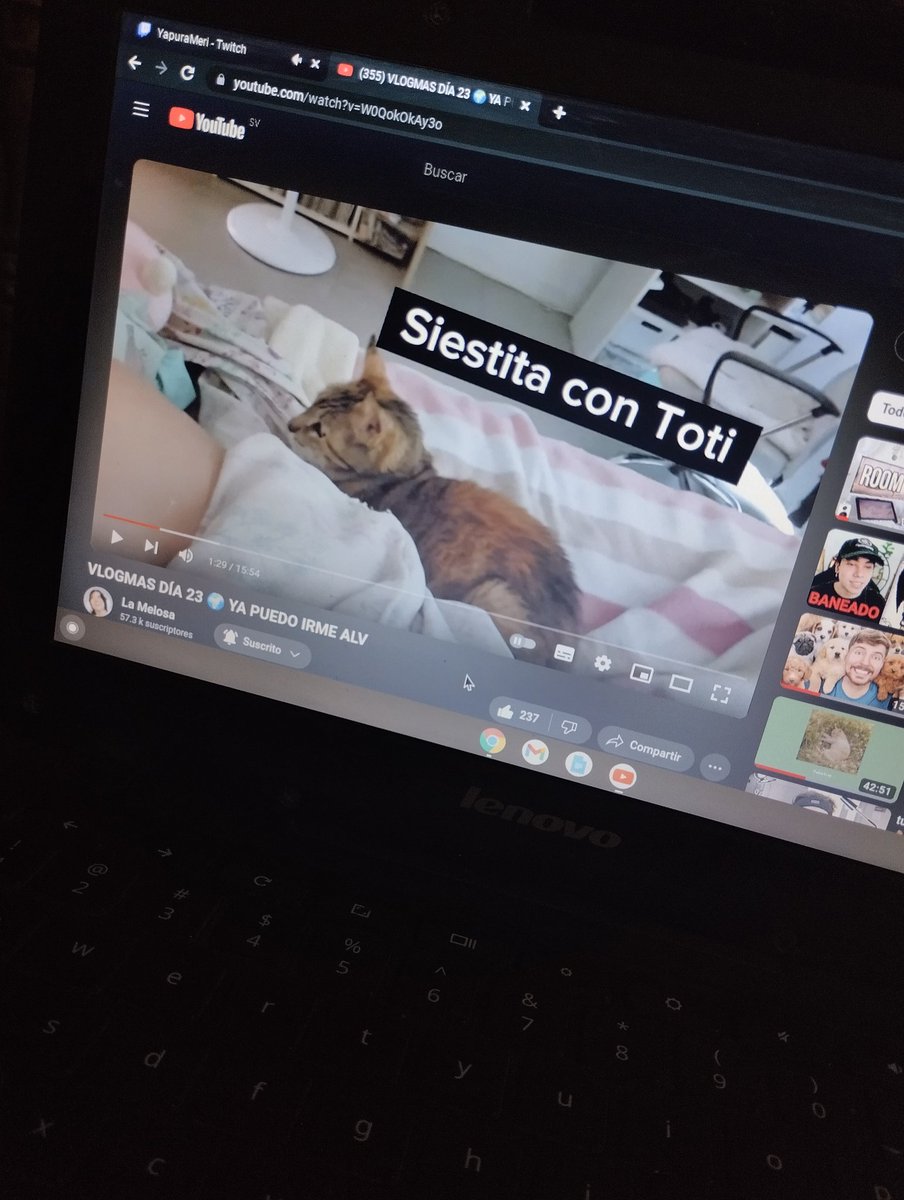 Nattmauu's tweet photo. #MeriXmas Por aquí un dibujito de la meri y el Kaito modo navideños. No tengo un setup como tal pero siempre ando viendo los vlogmas jajs https://t.co/BCJBPJJTZO