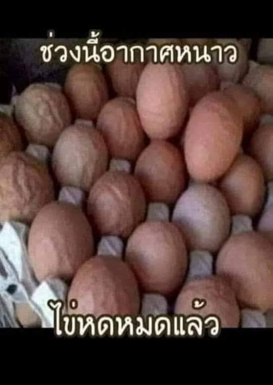 🤣🤣🤣🤣