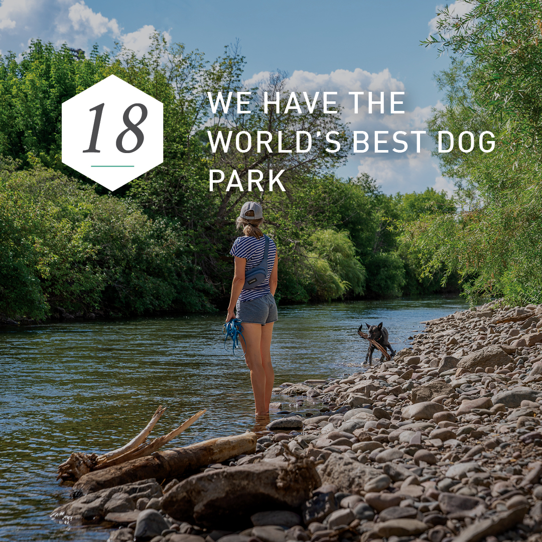 visitmissoula's tweet photo. ⁠Destination Missoula turns 20 this year, and to celebrate we have complied a list of 19 of our favorite things about our charming town. Now we need your help picking #20: https://t.co/Sonp1kzeYL
⁠
⁠#VisitMissoula #Missoula #TheresThisPlace https://t.co/Mkg4nzNxpX