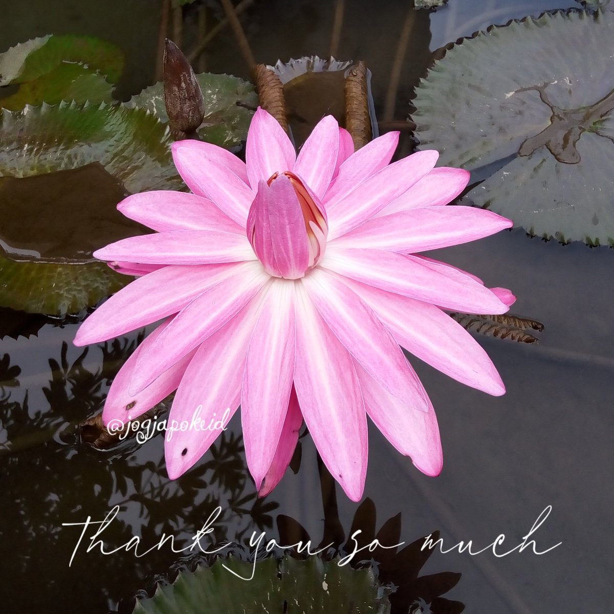 #F4F_Nusantara
#programfolback
#KulinerNusantara

terima kasih
⏩➽mas <a href="/herry_wl/">Herry Herry🇲🇨🇲🇨</a>

<a href="/albert_morafia/">ABM</a>
<a href="/BM7NOGO/">Pak BM ( Lottung Marsada🇮🇩</a>
<a href="/jogjapokeid/">jogjapokeid</a>
<a href="/NabajitDey16/">Nabadey</a>
@nabillfarass
<a href="/nabur35024/">Nabur Nabur</a>
@nadianurrahma
<a href="/NadiasonSebit/">Nadiason°</a>
<a href="/nadjwahand37371/">Nadjwahan 🇮🇩</a>
<a href="/Nafertiti6/">Nafertiti</a>
@nagabonar7145
<a href="/Naguzani/">Camilo Almario</a>
@Nahheed7788y
<a href="/NainggolanRaja6/">Nainggolan Raja</a>