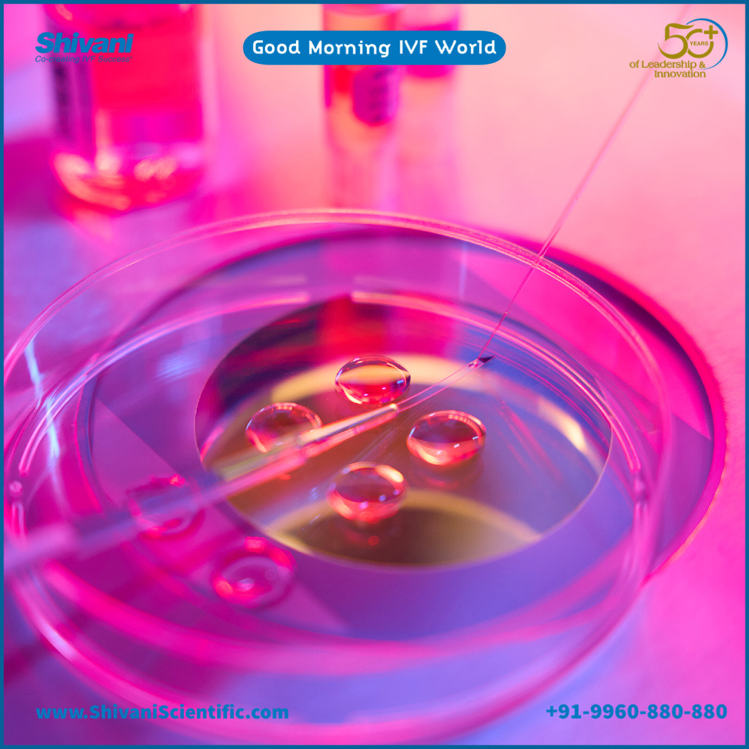 ShivaniIVF's tweet photo. #GoodMorning #IVFWorld Have A Wonderful Week #IVFClinic #IVFSpecialist #embryology #embryologist #IVFExperts #sundayvibes #goodvibs #IVFsuccess https://t.co/kwY5pSabzQ