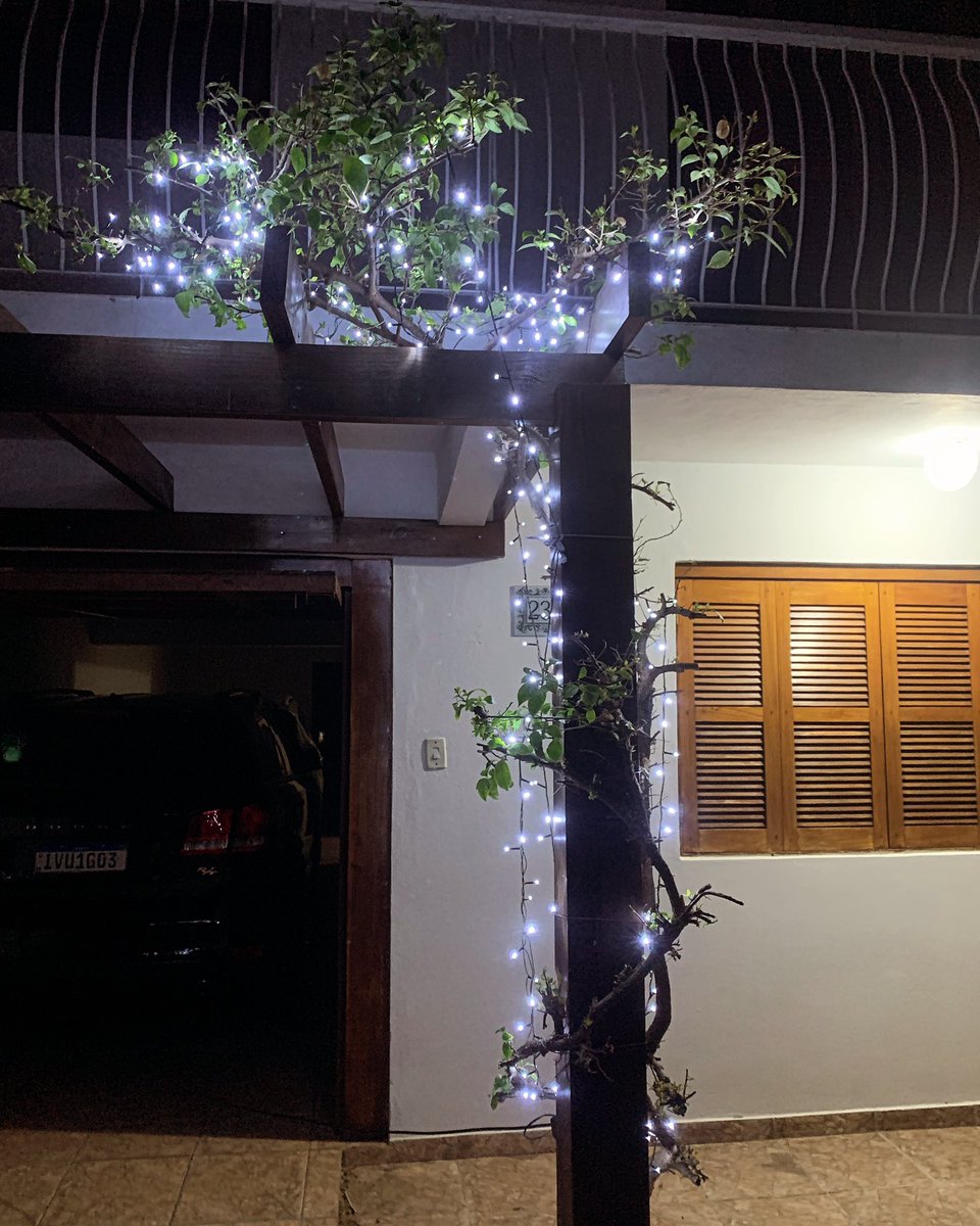 samuelendres75's tweet photo. Esperando o Papai Noel! https://t.co/KIK6Mr7VEL