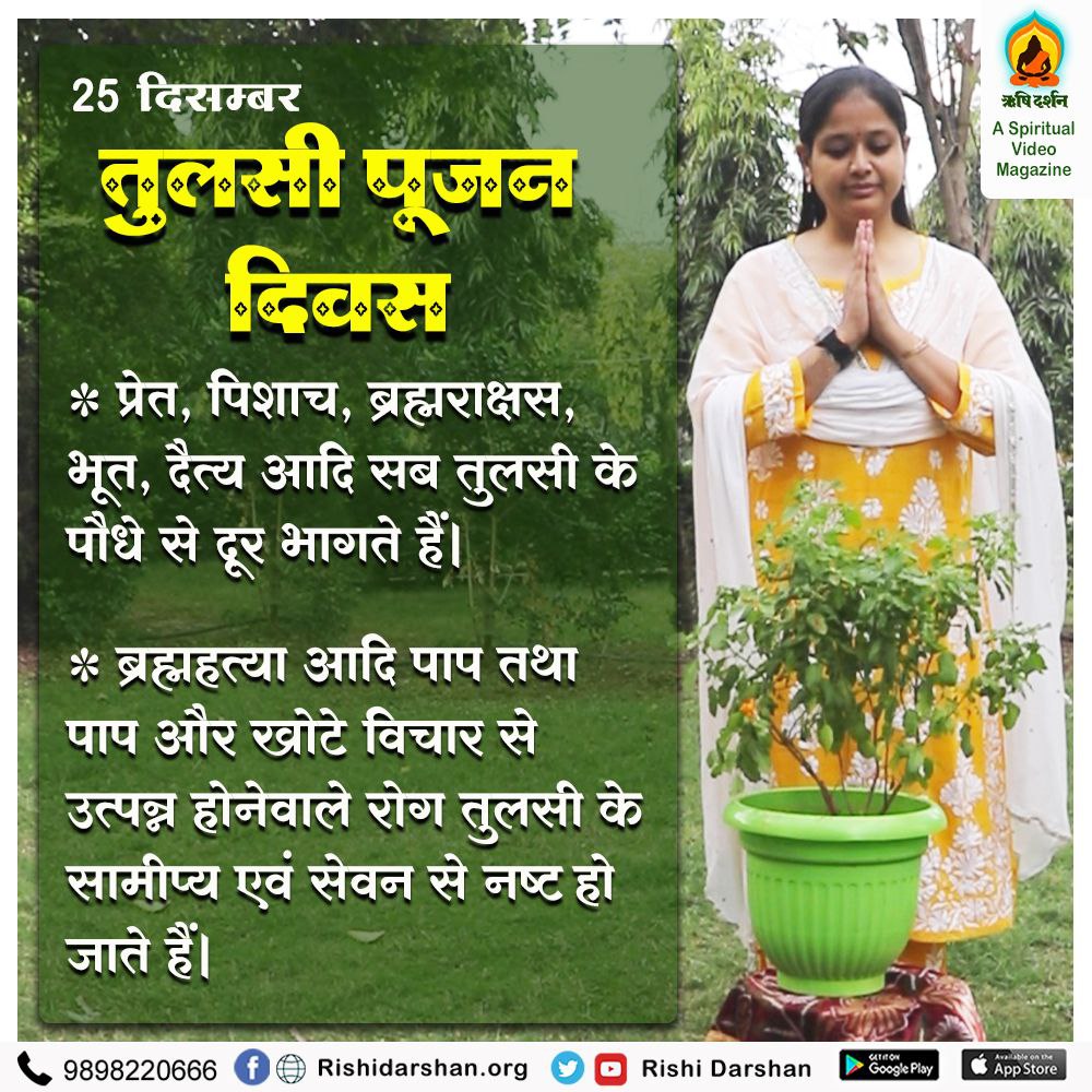 Just #1DayToGo for Tulsi Pujan Diwas . As every year, the world will witness the enchanting celebration of this initiative of Sant Shri Asharamji Bapu ,  where glory of Tulsi will radiate from all corners. 
Vishwaguru Bharat Sankalp of Bapuji is becoming a reality!