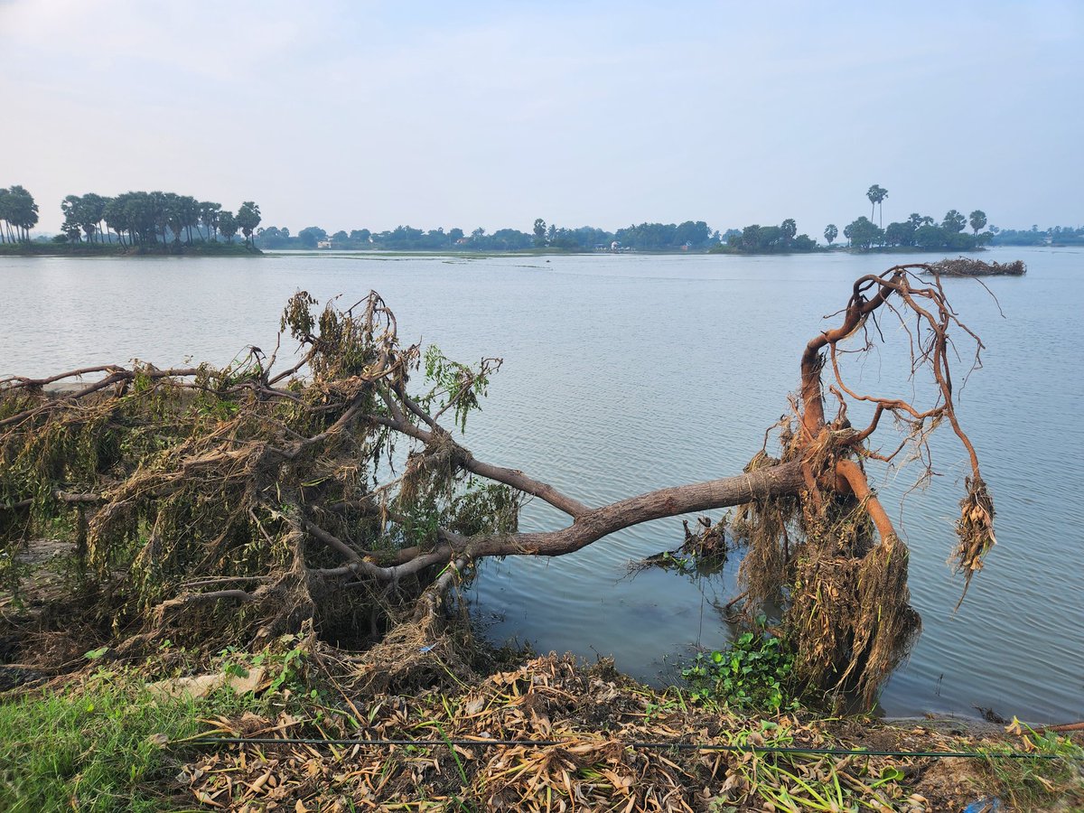svembu's tweet photo. Traveling near Kurumbur, Sri Vaikundam area in Thoothukudi district, agricultural fields are still submerged 6 days after the rain stopped and look like lakes. Crops destroyed, submerged tractors partially visible. Highways damaged.  Some interior villages still not reachable. https://t.co/xZVWgPhmXU