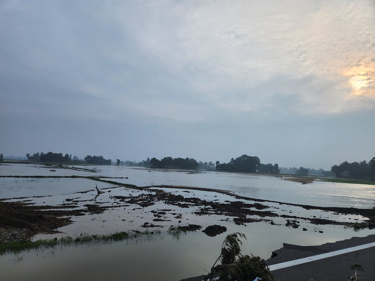 svembu's tweet photo. Traveling near Kurumbur, Sri Vaikundam area in Thoothukudi district, agricultural fields are still submerged 6 days after the rain stopped and look like lakes. Crops destroyed, submerged tractors partially visible. Highways damaged.  Some interior villages still not reachable. https://t.co/xZVWgPhmXU