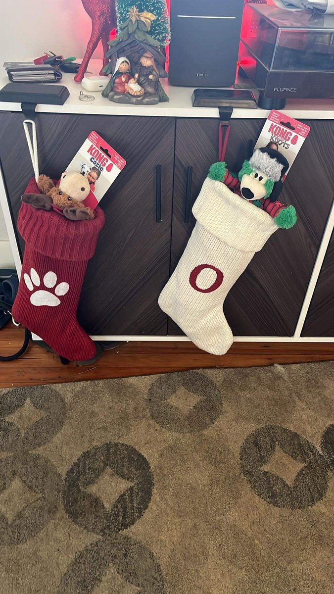 Yes, I got my dogs stocking stuffers. #christmas #dogdad #stockingstuffers