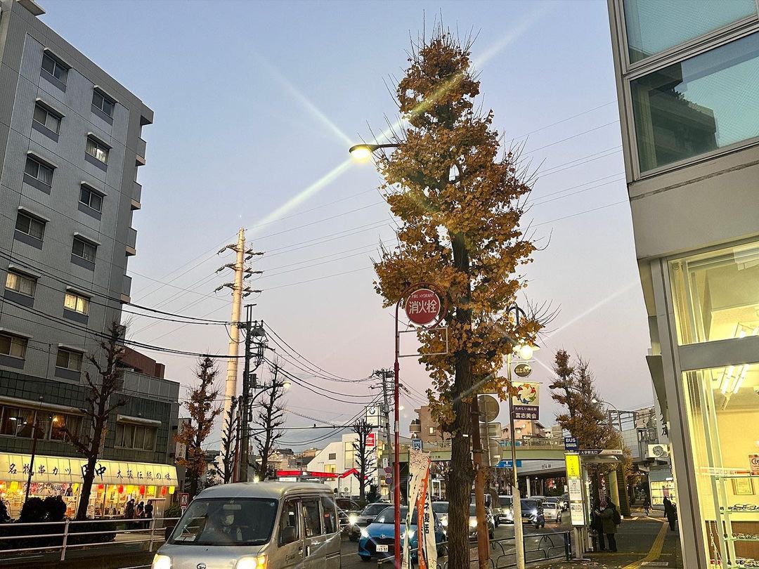 In a world bustling with constant motion, having the opportunity to pause and eat in the magnificence of this view feels like a precious gift, grounding me in appreciation for the wonders that surround us.