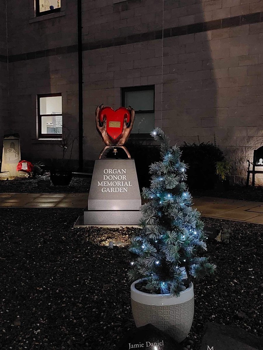 Our beautiful organ donor memorial garden 🇮🇲 
<a href="/NHSOrganDonor/">NHS Organ Donation 💗🫀🫁</a> <a href="/share_wishes/">Share Your Wishes</a> <a href="/sandi_sund/">sandi sund</a> <a href="/isleofmantoday/">Isle of Man Today</a> <a href="/IOMGovernment/">Isle of Man Government</a> <a href="/MartynPerkins1/">Martyn Perkins</a>