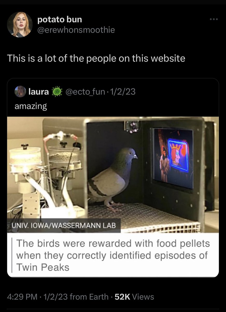potato bun tweet media