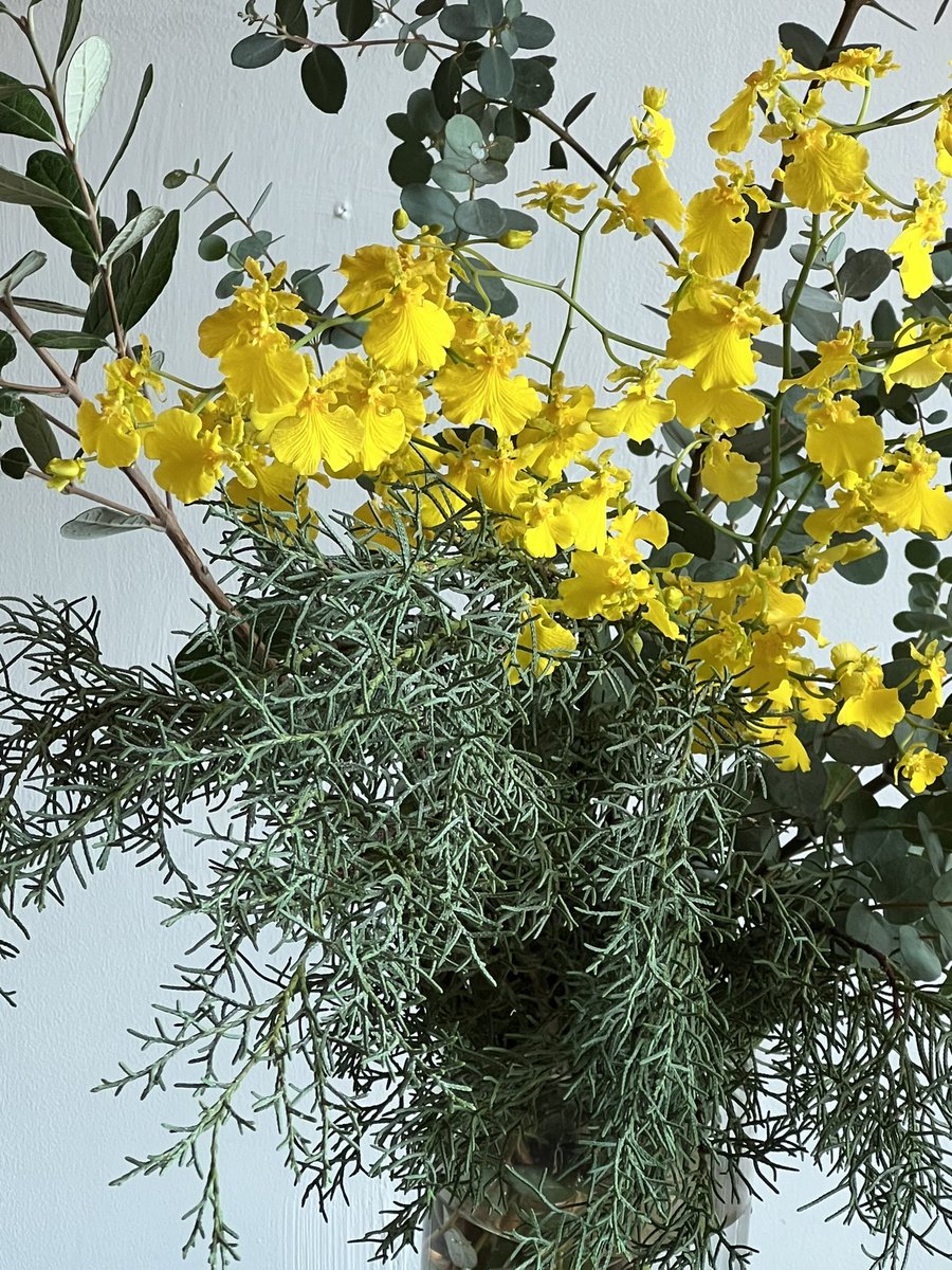 antiqueshow's tweet photo. 空気が一段とヒンヤリな本日は18:00まで営業となります。 https://t.co/HPjnzamVTo