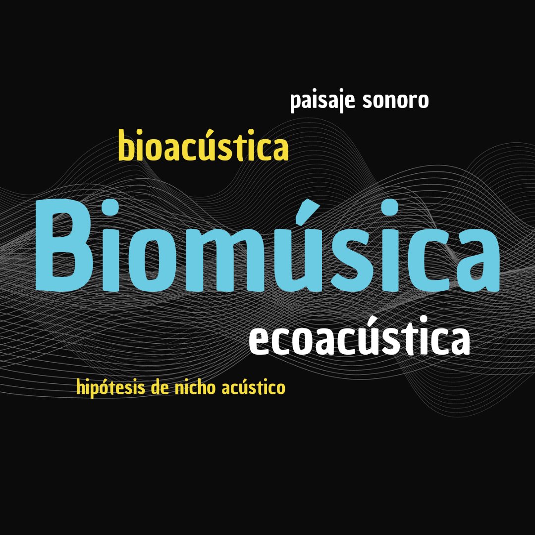 EpiSTEMas Podcast tweet media