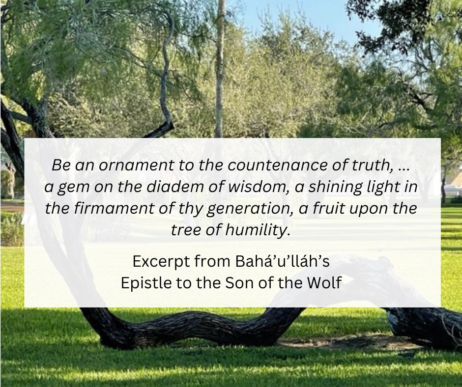 Be generous in prosperity, and thankful in adversity. Be worthy of the trust of thy neighbor, and look upon him with a bright and friendly face. Be a treasure to the poor,
#RGVInterfaith #AllFaithsUnited #BuildingBridges #OneHumanFamily #Bahai #Bahaullah #EpistletotheSonoftheWolf