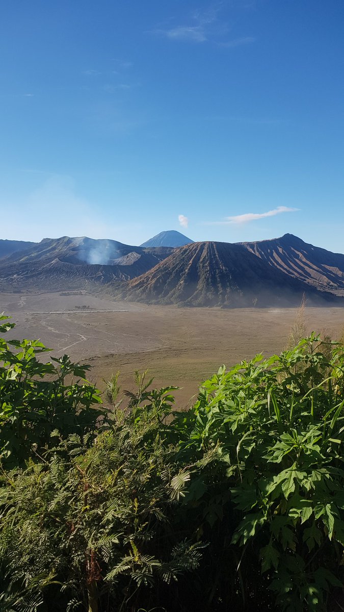 kecoakdisco's tweet photo. @Widino Bromo in... https://t.co/Cg5iVGcr63