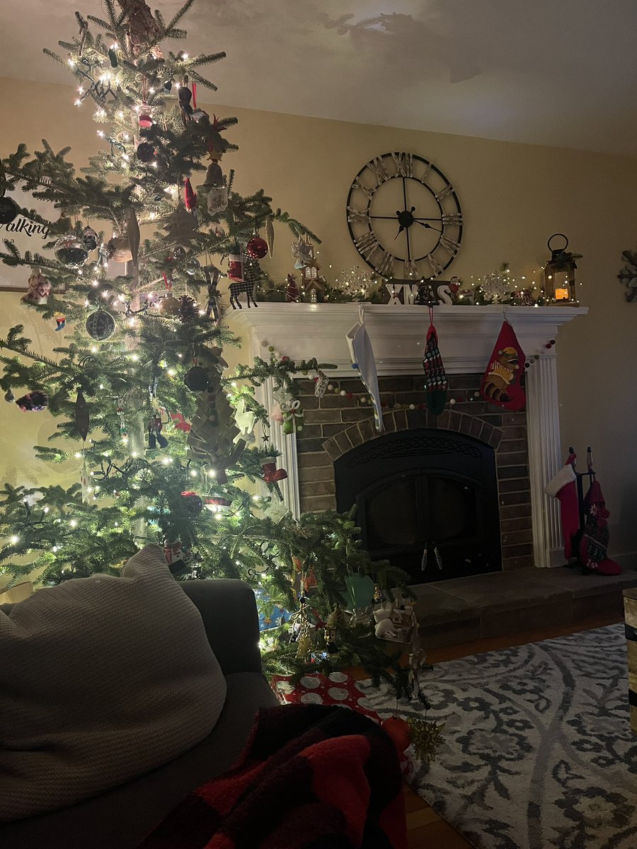 Merry Christmas! Wishing everyone a relaxing holiday season with all of your favorite people 🎄☃️