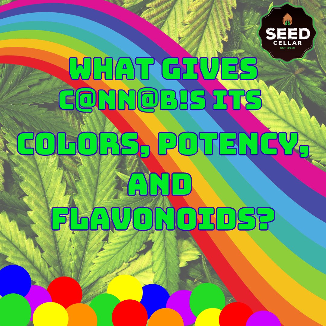 Taste the rainbow and learn what impacts different c@nn@b!s colors, flavonoids, and potency! 
rpb.li/zIaj

#SeedCellar
#growyourown
#howtogrow
#cannabisseeds