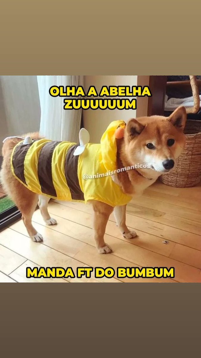 Greore3's tweet image. Duvido resistir a essa gentil abelhinha
