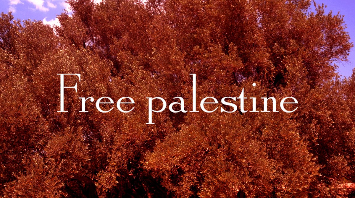 Ruth Wilson Gilmore Girls (@rwgilmoregirls) on Twitter photo 