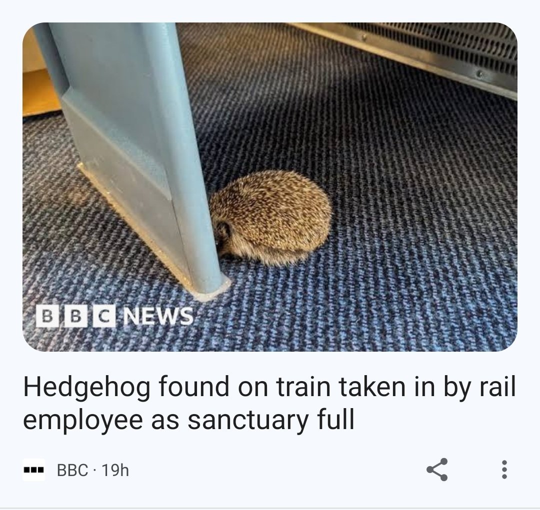 Taking animals onboard aswell? I love the idea petition to make this an actual thing, also sorry for mass posting I'm bored as fuck